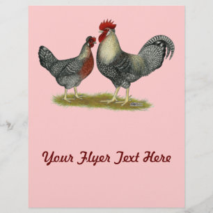 Cream Legbar Chickens Flyer