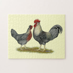 Cream Legbar Chickens Jigsaw Puzzle