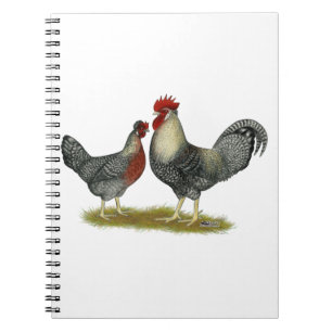 Cream Legbar Chickens Notebook