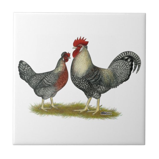 Cream Legbar Chickens Tile