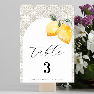 Cream Mediterranean Tile Spanish Italian Wedding Table Number