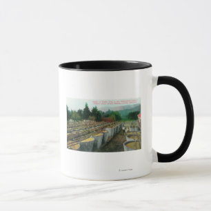 Cream of Tartar Vats View at Italian-Swiss Colon Mug