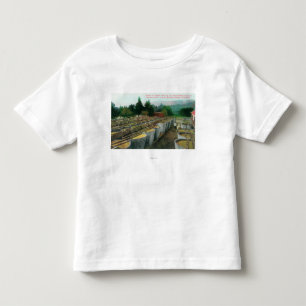 Cream of Tartar Vats View at Italian-Swiss Colon Toddler T-Shirt