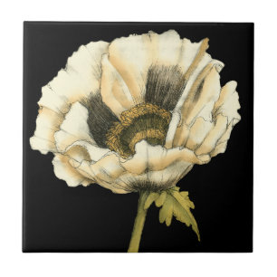 Cream Poppy Flower on Black Background Ceramic Tile