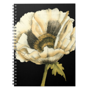 Cream Poppy Flower on Black Background Notebook
