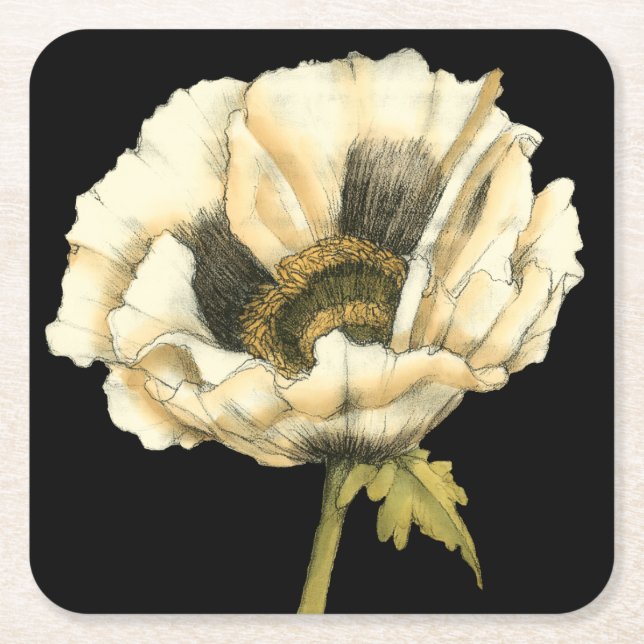 Cream Poppy Flower on Black Background Square Paper Coaster (Front)