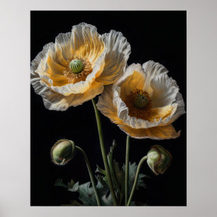 Cream Poppy Flowers Art Print Poster
