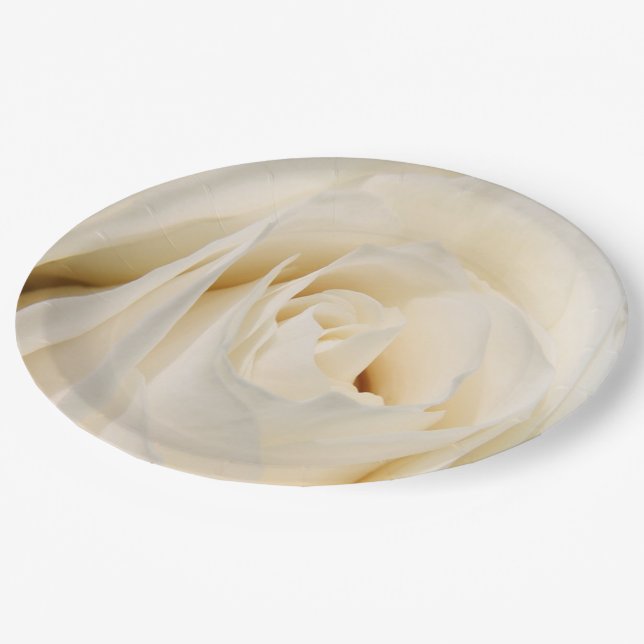 Cream Rose Paper Plates (Angled)