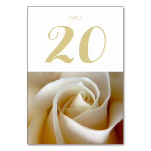 Cream Rose Wedding Photo Gold Table Number