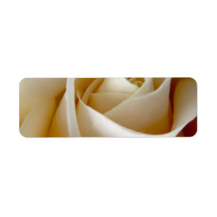 Cream Rose Wedding Photo Return Address Label