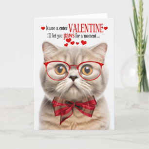 Cream Scottish Fold Cat Humour Valentine's Day Holiday Card