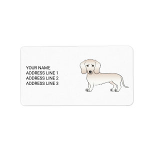 Cream Smooth Coat Dachshund Cartoon Dog With Text Label