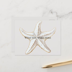 Cream White Gold Starfish Beach Postcard