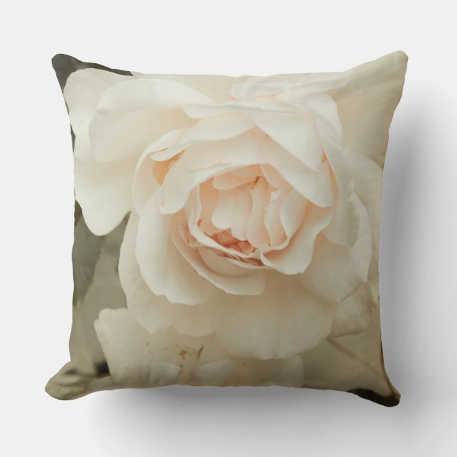 Cream with a touch of pink, Romantic Rose Cushion (Front)