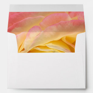 Creamy pink rose up close envelope