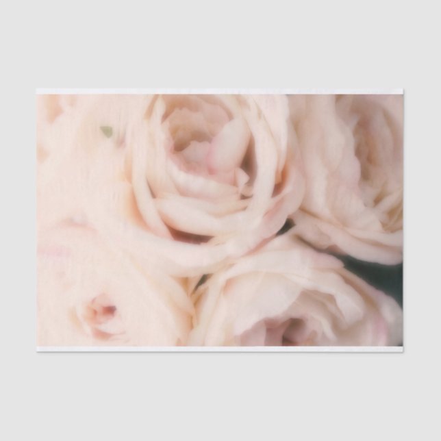 Creamy Soft Blush Pink Roses Elegant Wedding    Tissue Paper (Front)