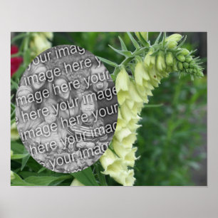 Creamy White Foxglove Flowers Add Your Photo Poster