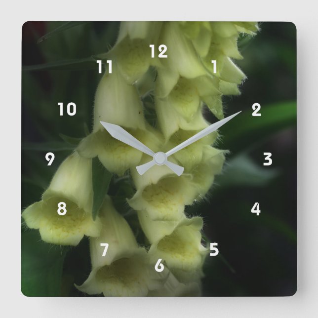 Creamy White Foxglove Flowers Square Wall Clock (Front)