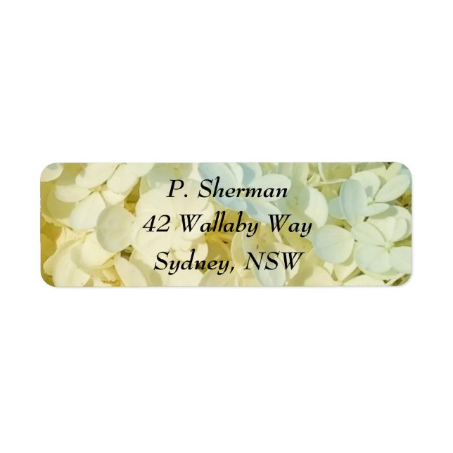 Creamy White Hydrangea Address Label Return Address Label (Front)