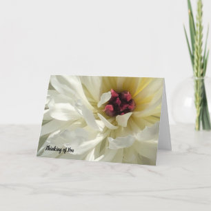 Creamy White Peony Flower Sympathy Card