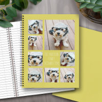 Create a Custom Photo Collage 8 Photos Chartreuse