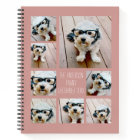 Create a Custom Photo Collage with 8 Photos - rose