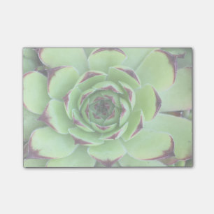 Create a Lightened Photo Post-it Notes