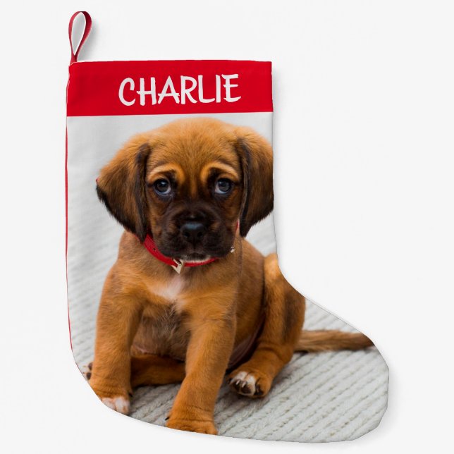 Create Pet Dog Photo Small Christmas Stocking (Front)