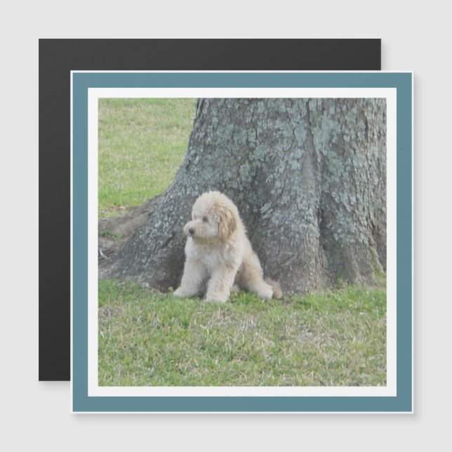 Create Square Photo Template Turquoise Cute Magnet (Front/Back)