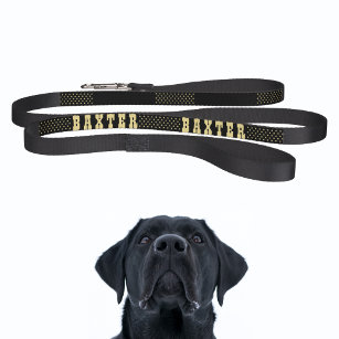 Create Your Custom Black Gold Stars Dog Puppy Name Pet Lead