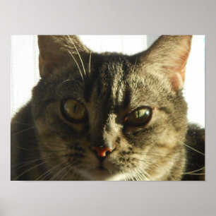 Create Your Own 16" x 12" Poster