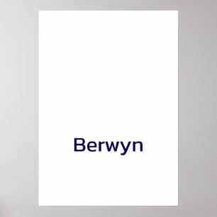 Create Your Own 20"x28" Matte Poster