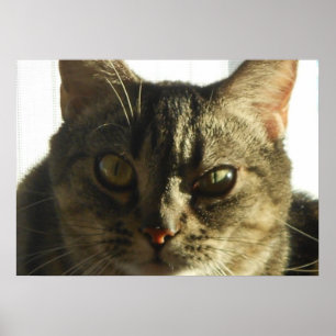 Create Your Own 28" x 20" Poster