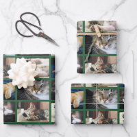 Create Your Own 5 Photo Collage Green Border