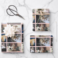 Create Your Own 5 Photo Collage Pink Border
