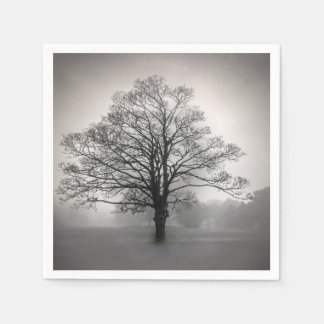 Create Your Own B&W Tree Silhouette & Mist Napkin