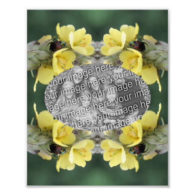 Create Your Own Beetle Mullein Flower Frame 8x10 Photo Print (Front)