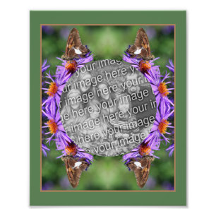 Create Your Own Butterfly On Aster Flower Frame  Photo Print