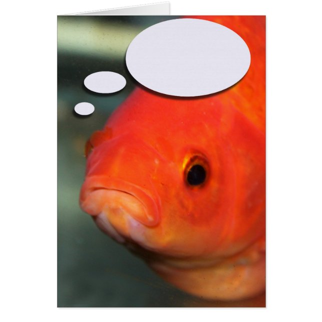Create Your Own Caption, Goldfish (Front)