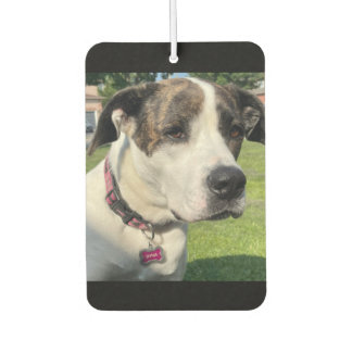 Create Your Own Car Air Freshener