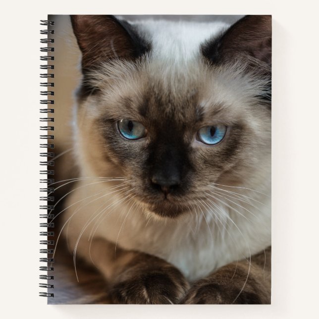 Create Your Own Cat Pet Personalised Photo Notebook (Front)