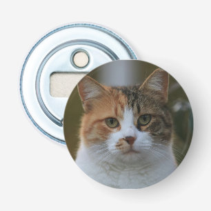 Create Your Own Cat Pet Photo Custom Picture Bottle Opener