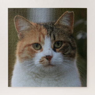 Create Your Own Cat Pet Photo Custom Picture Jigsaw Puzzle