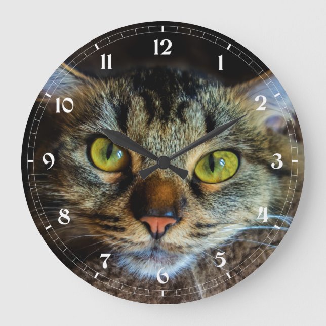 Create Your Own Cat Photo - Fluffy Tabby Cat  Large Clock (Front)