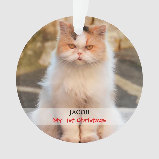 Create your own Cat Photo Ornament (Front)