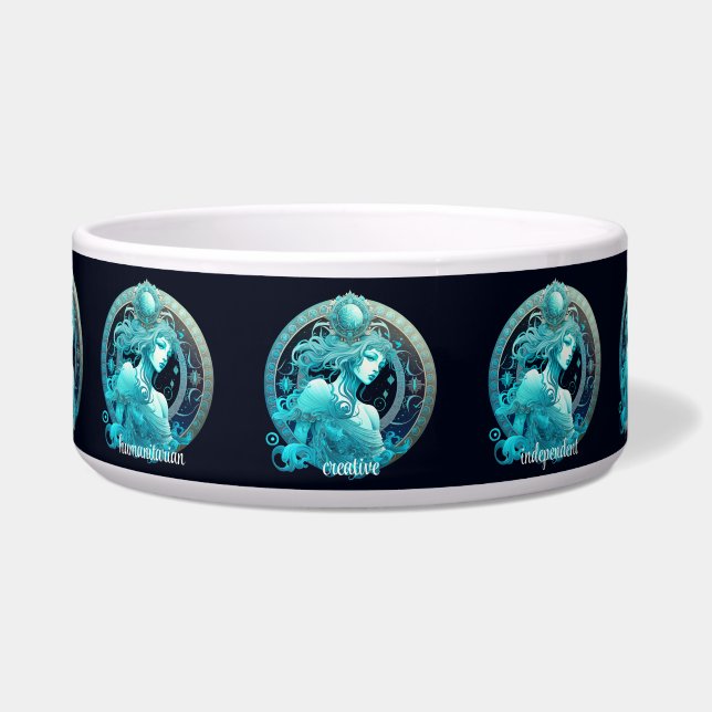 Create Your Own Celestial Aquarius Zodiac (Front)
