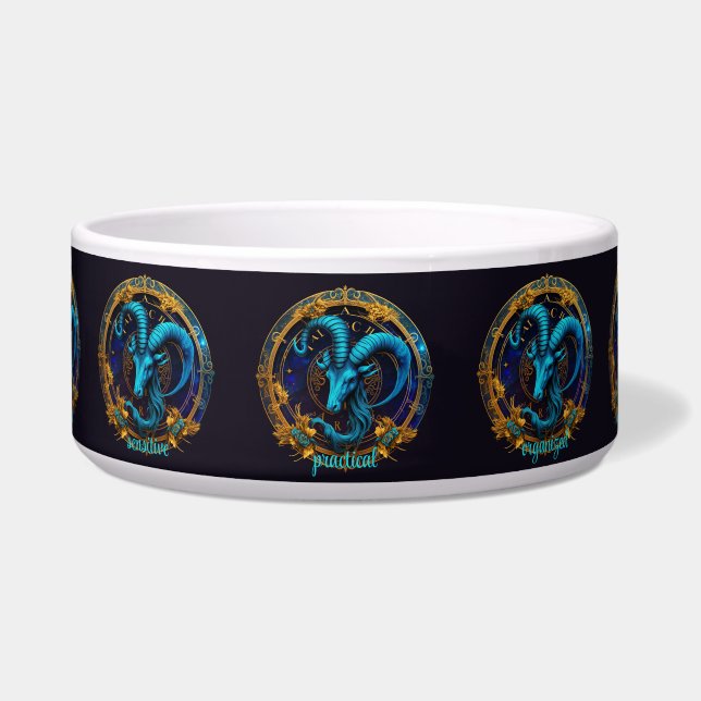 Create Your Own Celestial Capricorn Zodiac (Front)