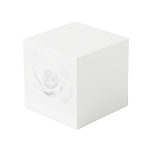 Create Your Own - Cube
