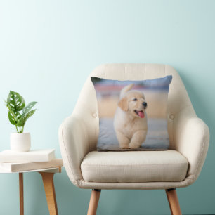 Create your own custom pet cushion