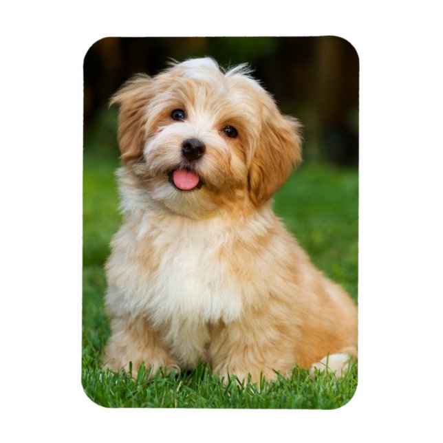 Create Your Own Custom Pet Dog Photo  Magnet (Vertical)